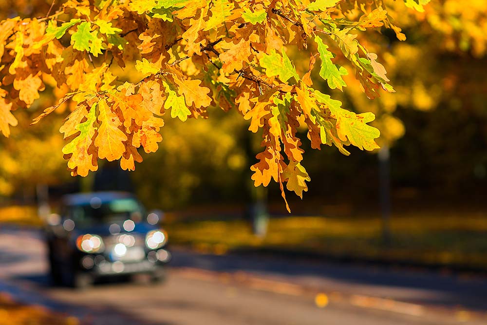 Tippek és tanácsok: hogyan közlekedjünk ősszel az utakon